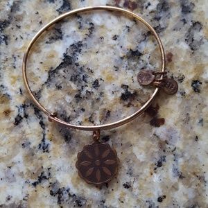 Alex and Ani charm bracelet